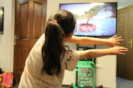Evaluating the effectiveness of Serious Games in children with ADHD and Autism